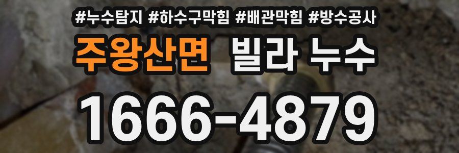 주왕산면 빌라 누수