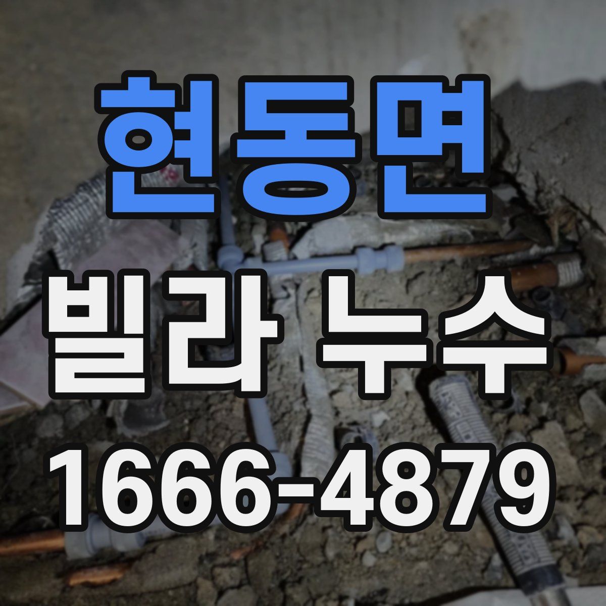 현동면 빌라 누수