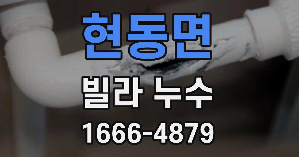 현동면 빌라 누수