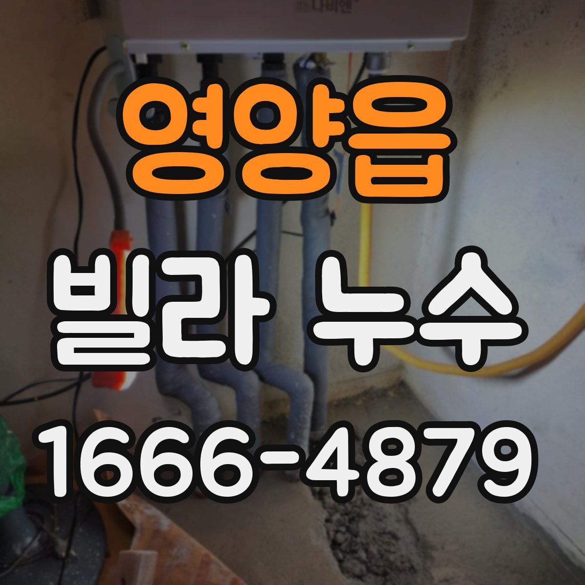 영양읍 빌라 누수