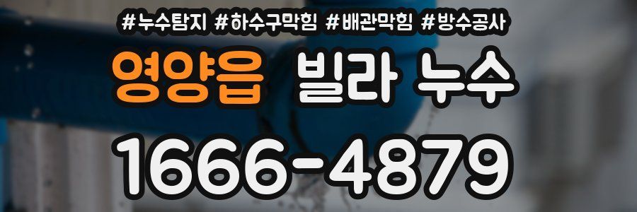 영양읍 빌라 누수