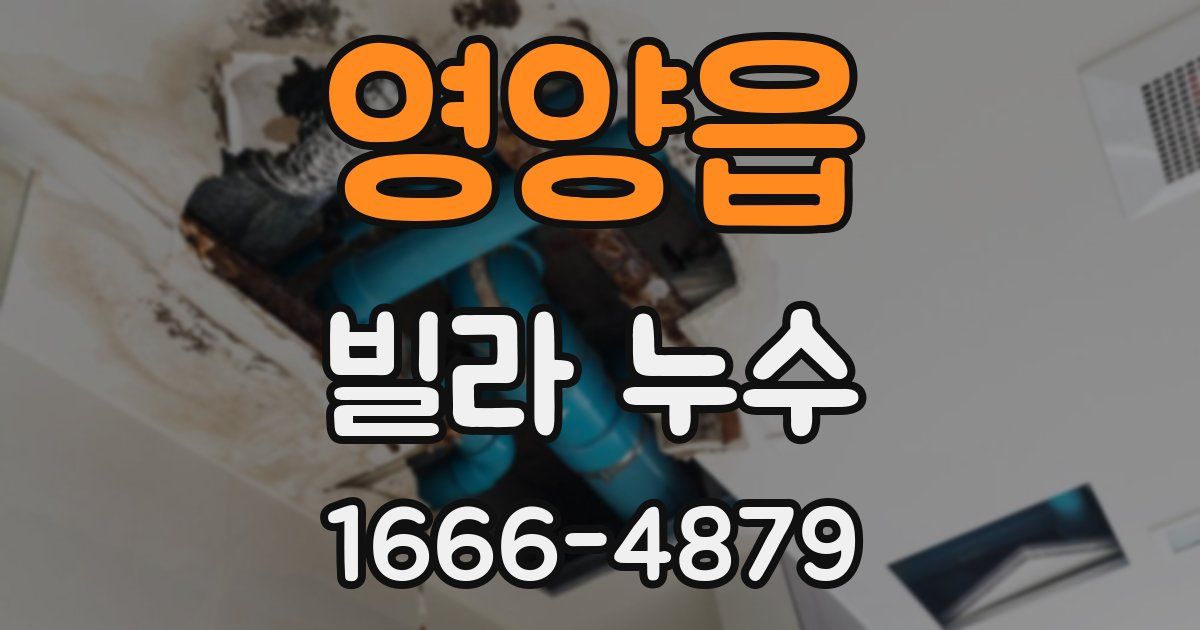 영양읍 빌라 누수