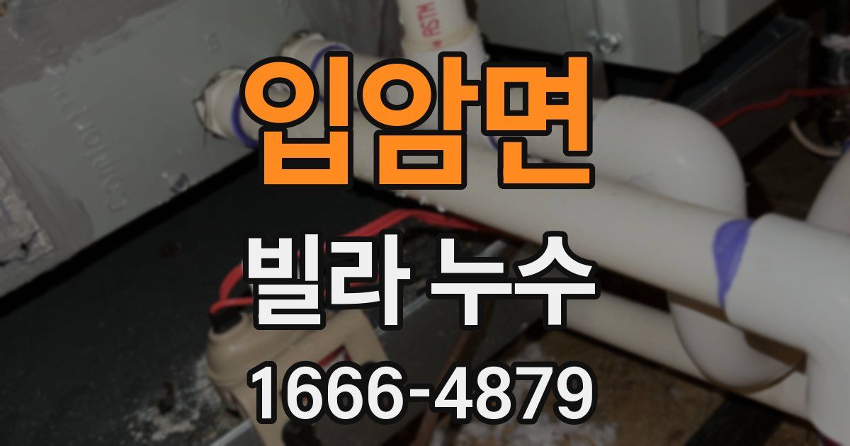 입암면 빌라 누수