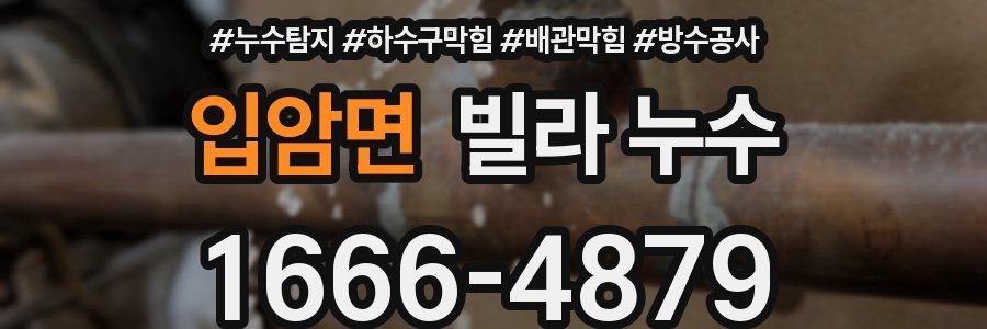 입암면 빌라 누수