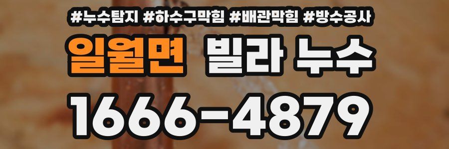 일월면 빌라 누수