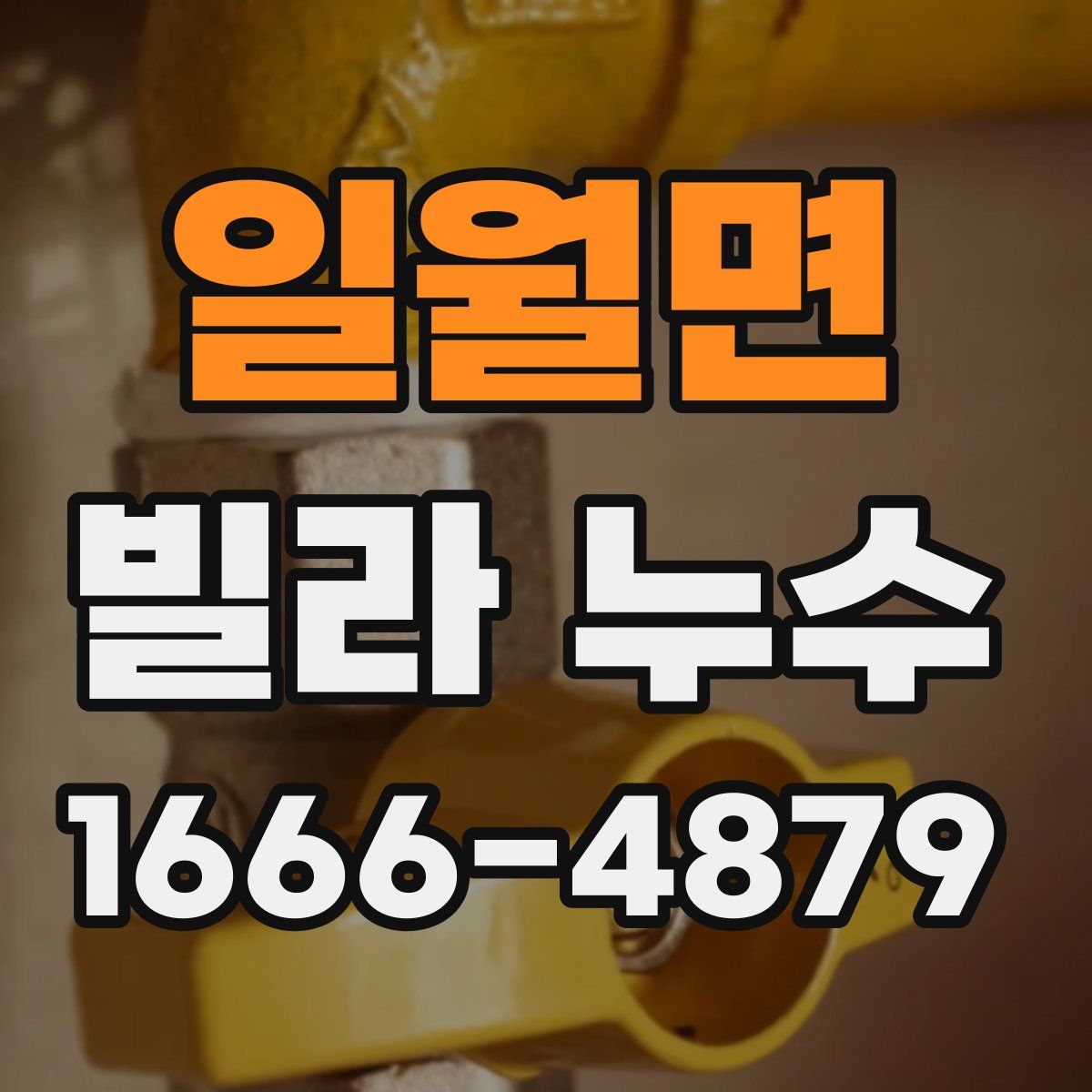 일월면 빌라 누수