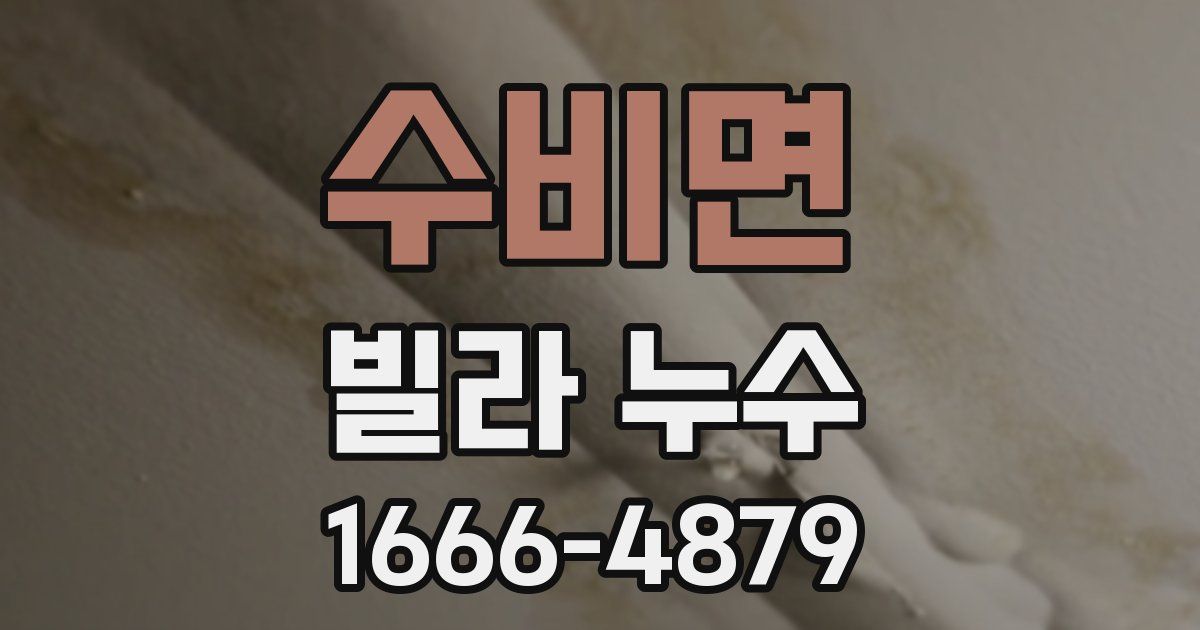 수비면 빌라 누수