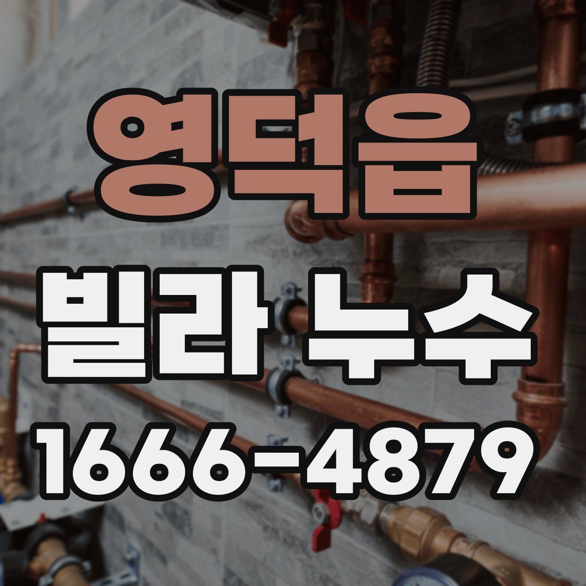 영덕읍 빌라 누수
