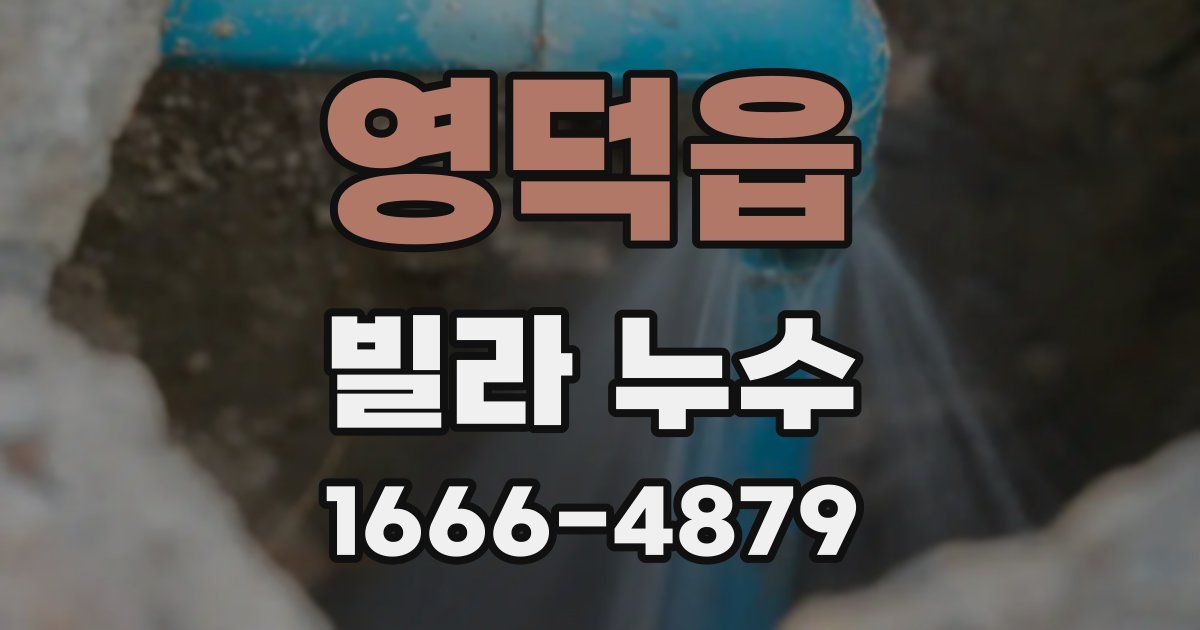 영덕읍 빌라 누수