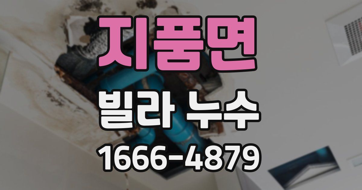 지품면 빌라 누수