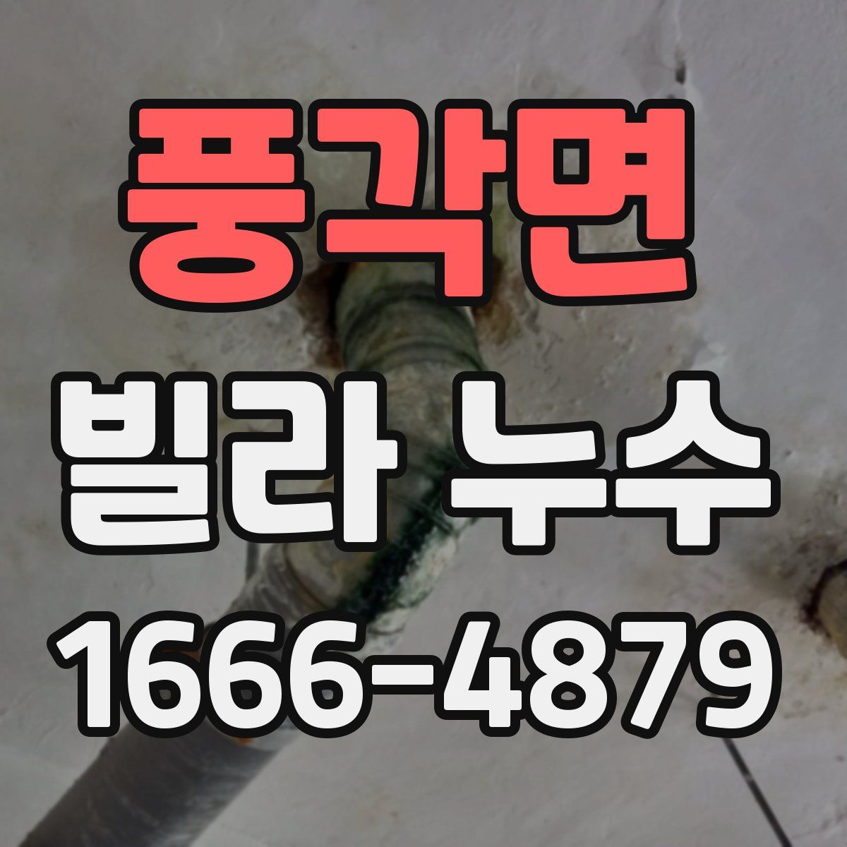 풍각면 빌라 누수