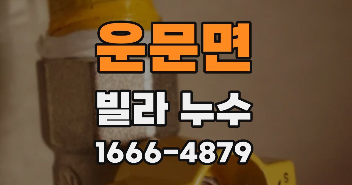 운문면 빌라 누수