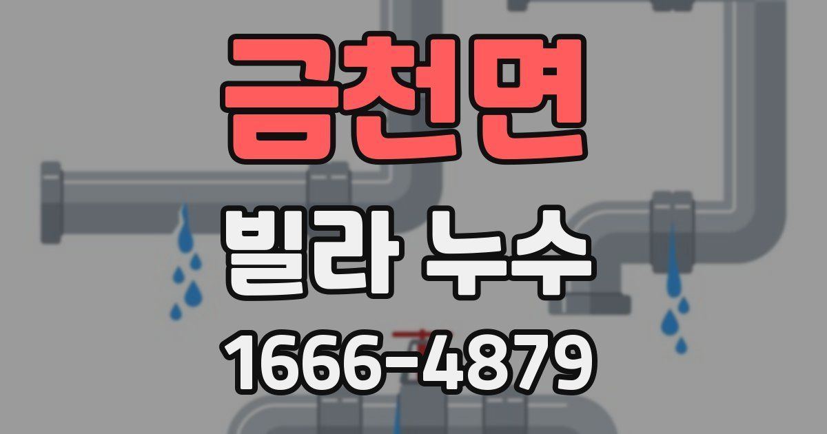 금천면 빌라 누수