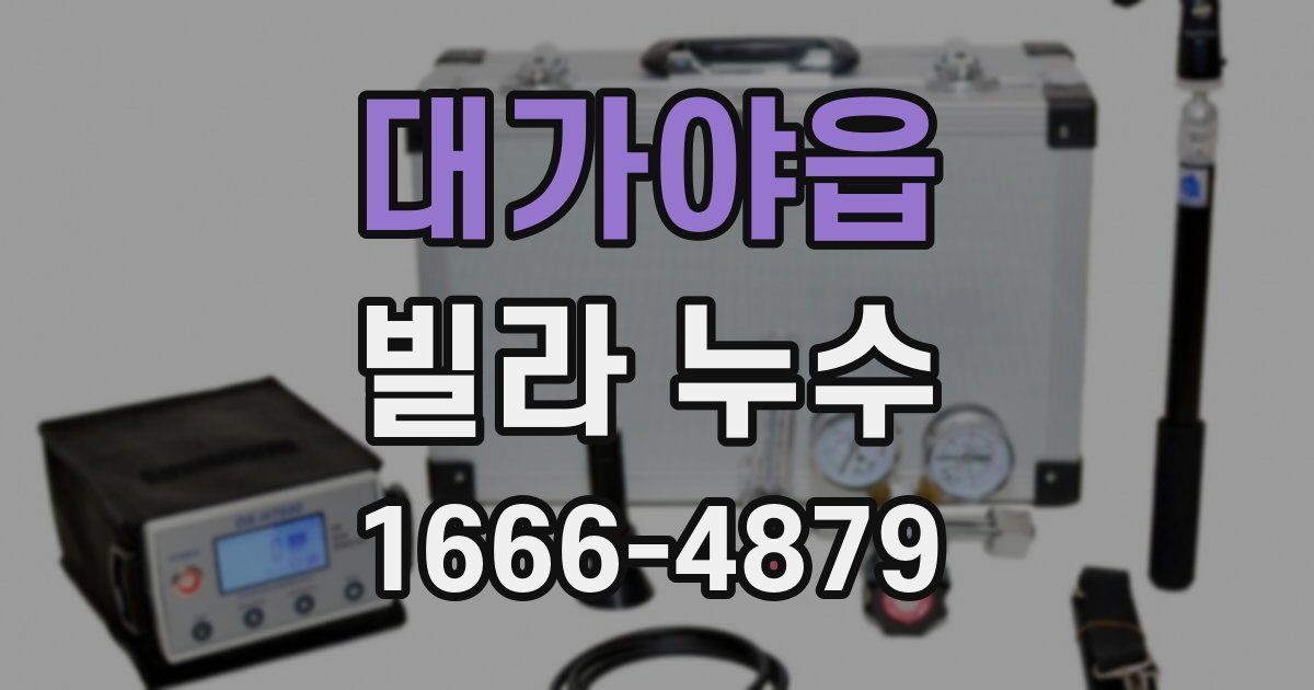 대가야읍 빌라 누수