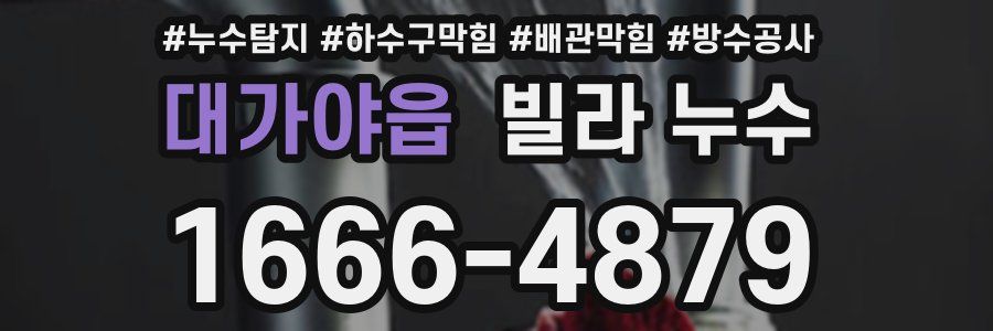 대가야읍 빌라 누수