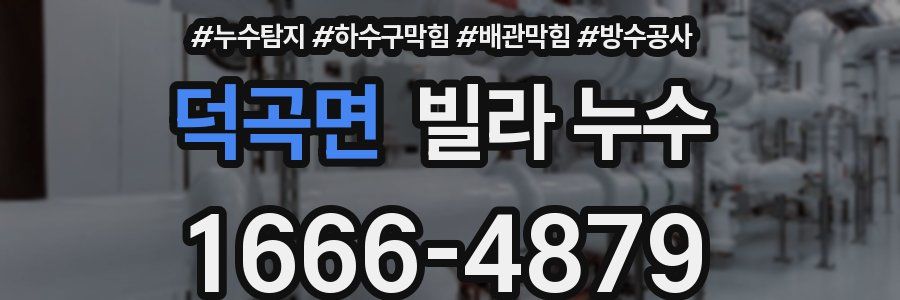 덕곡면 빌라 누수