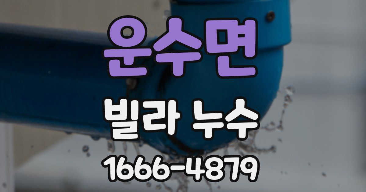 운수면 빌라 누수