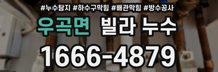 우곡면 빌라 누수
