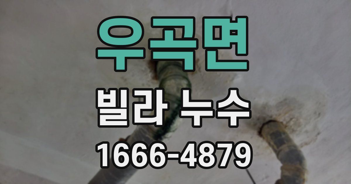우곡면 빌라 누수