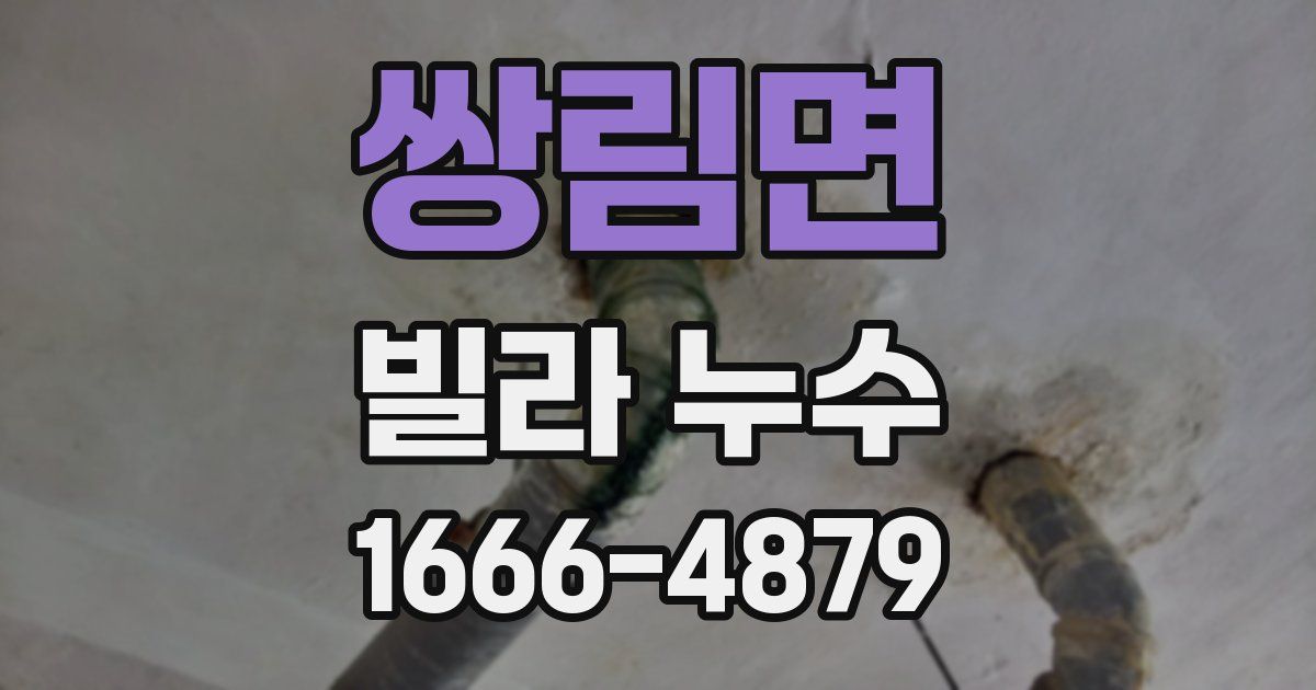 쌍림면 빌라 누수