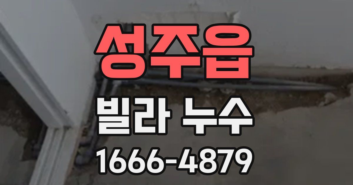성주읍 빌라 누수
