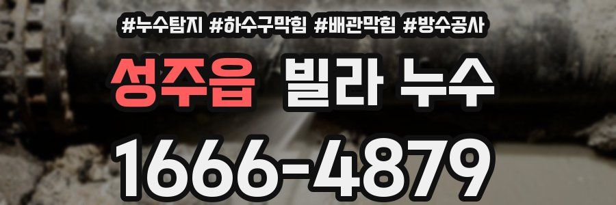 성주읍 빌라 누수
