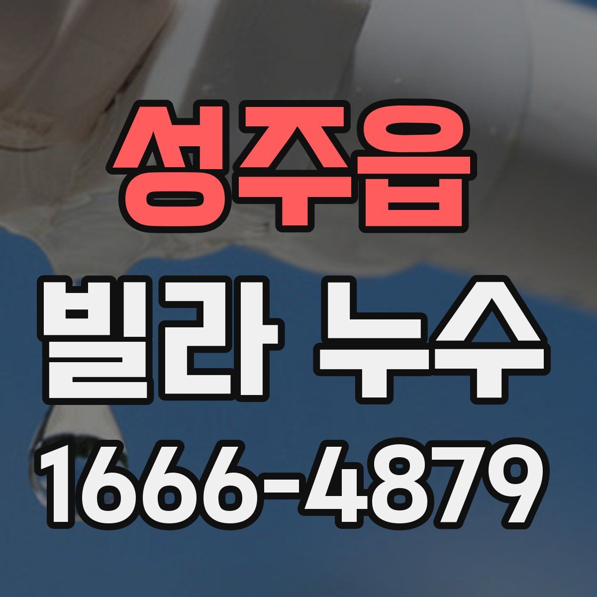 성주읍 빌라 누수