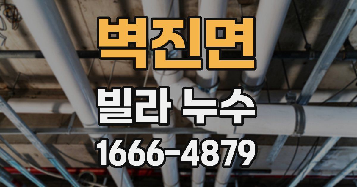 벽진면 빌라 누수