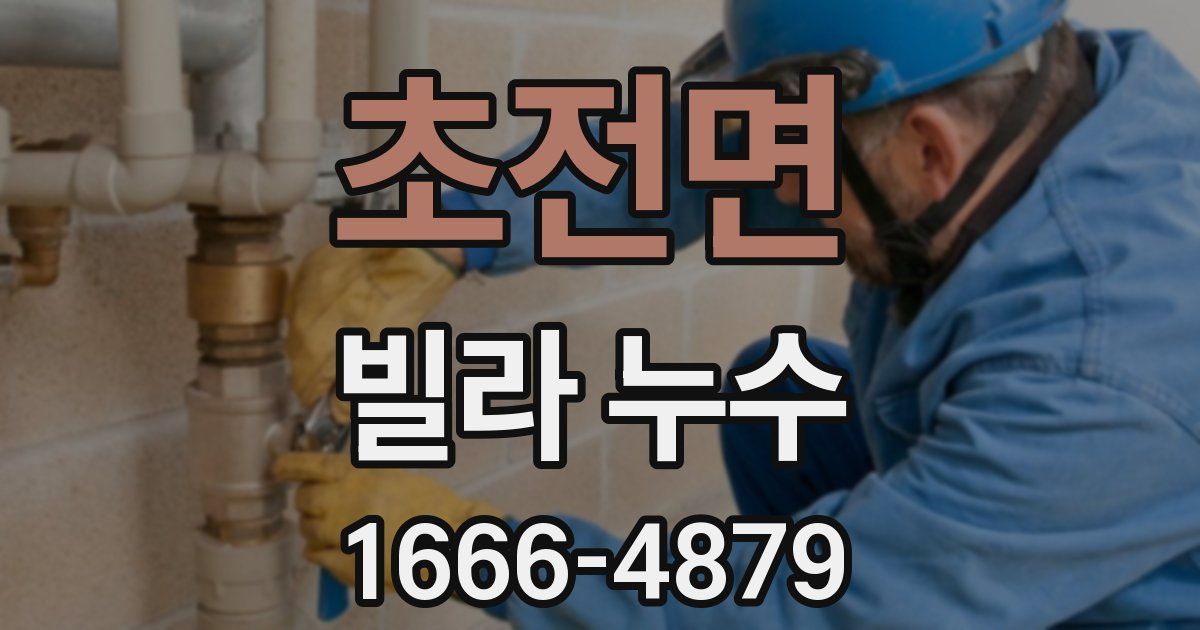 초전면 빌라 누수