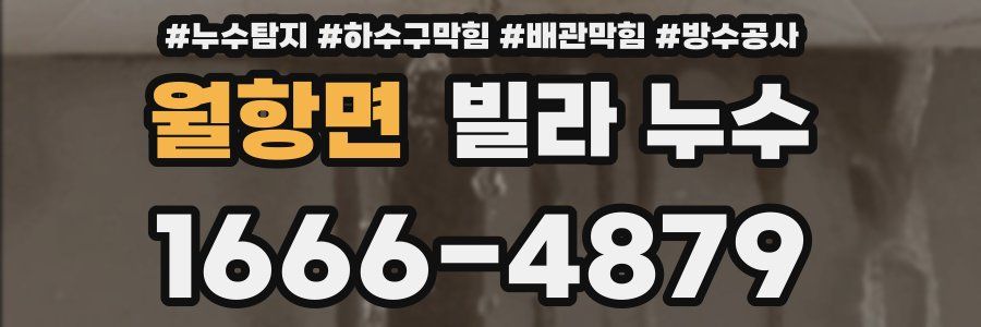 월항면 빌라 누수