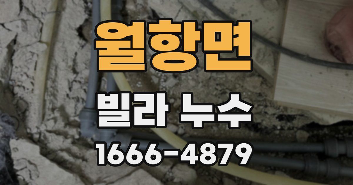월항면 빌라 누수