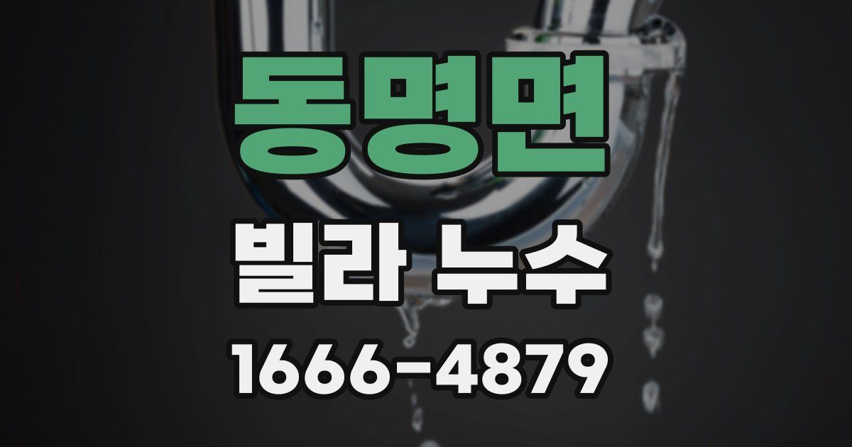 동명면 빌라 누수