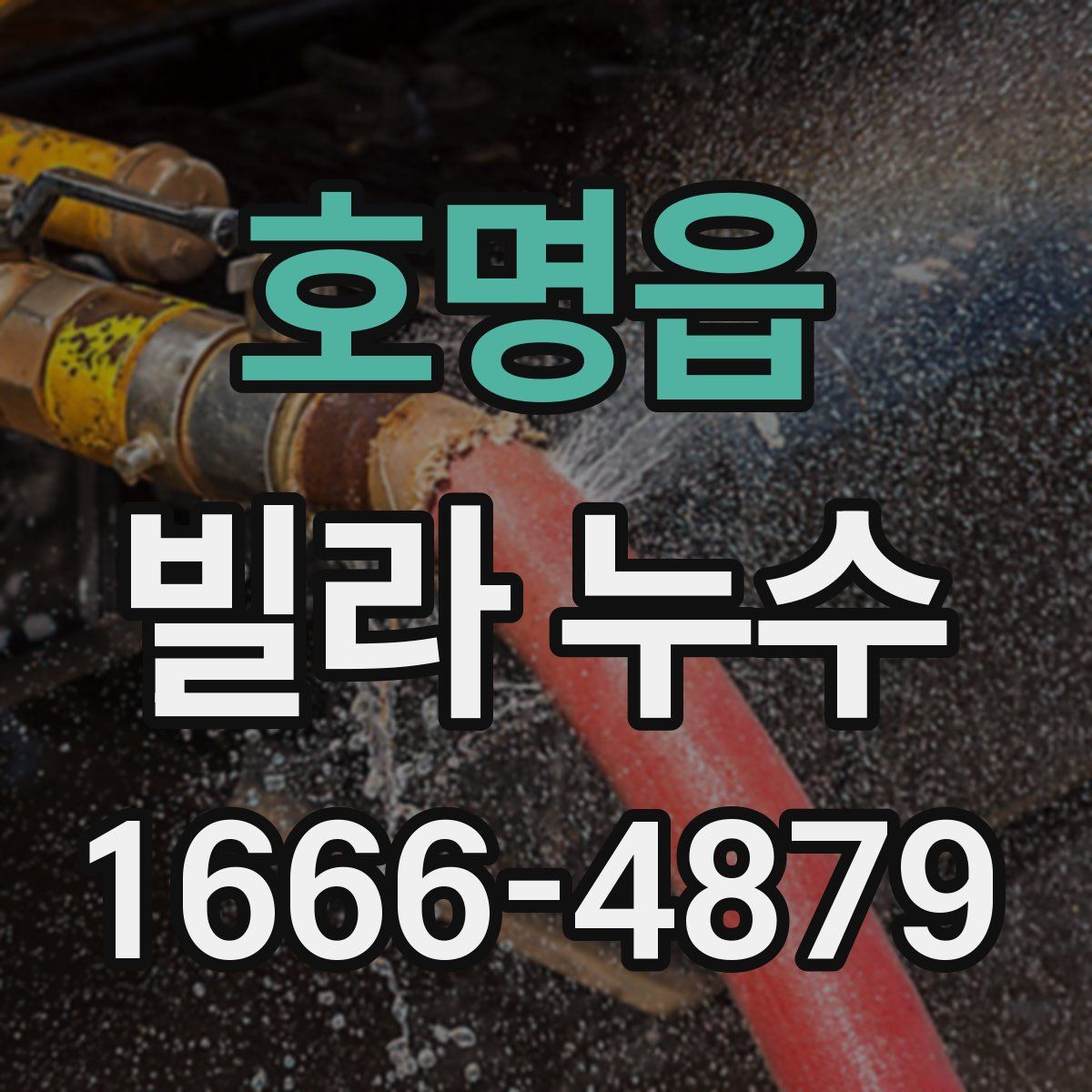호명읍 빌라 누수