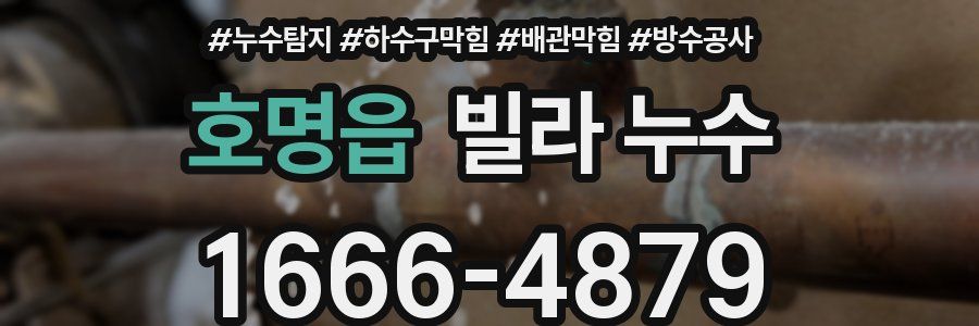 호명읍 빌라 누수