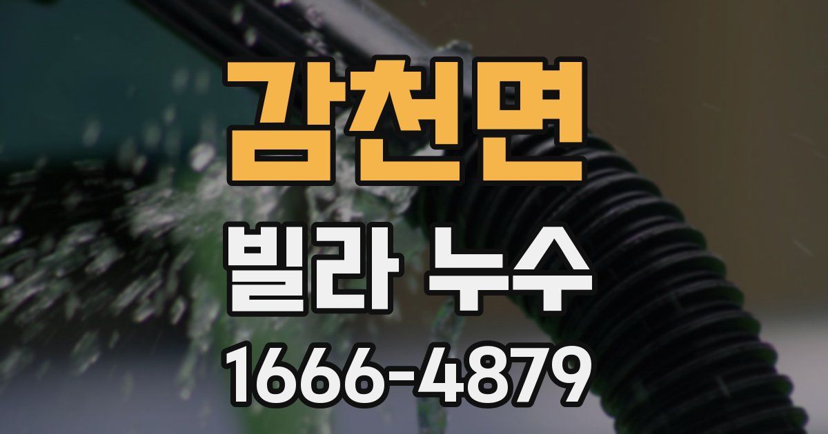 감천면 빌라 누수
