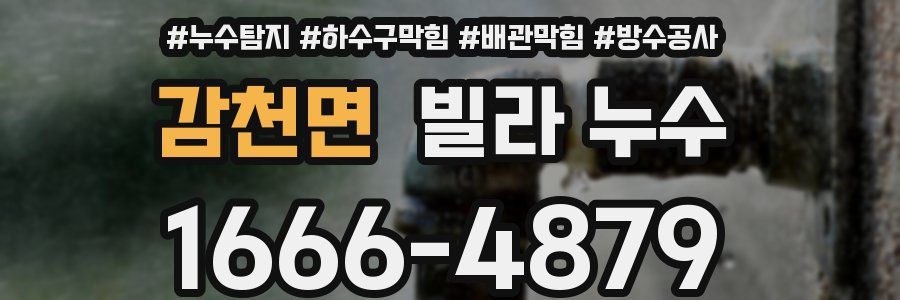 감천면 빌라 누수