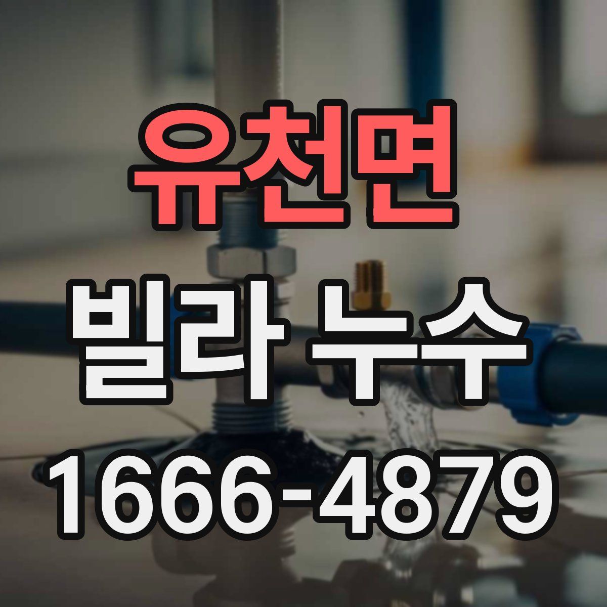 유천면 빌라 누수