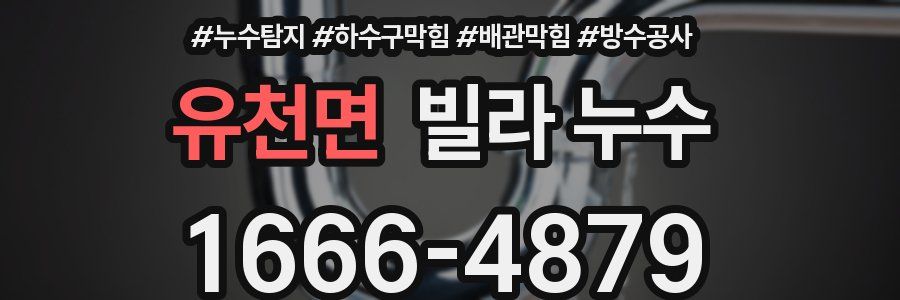 유천면 빌라 누수