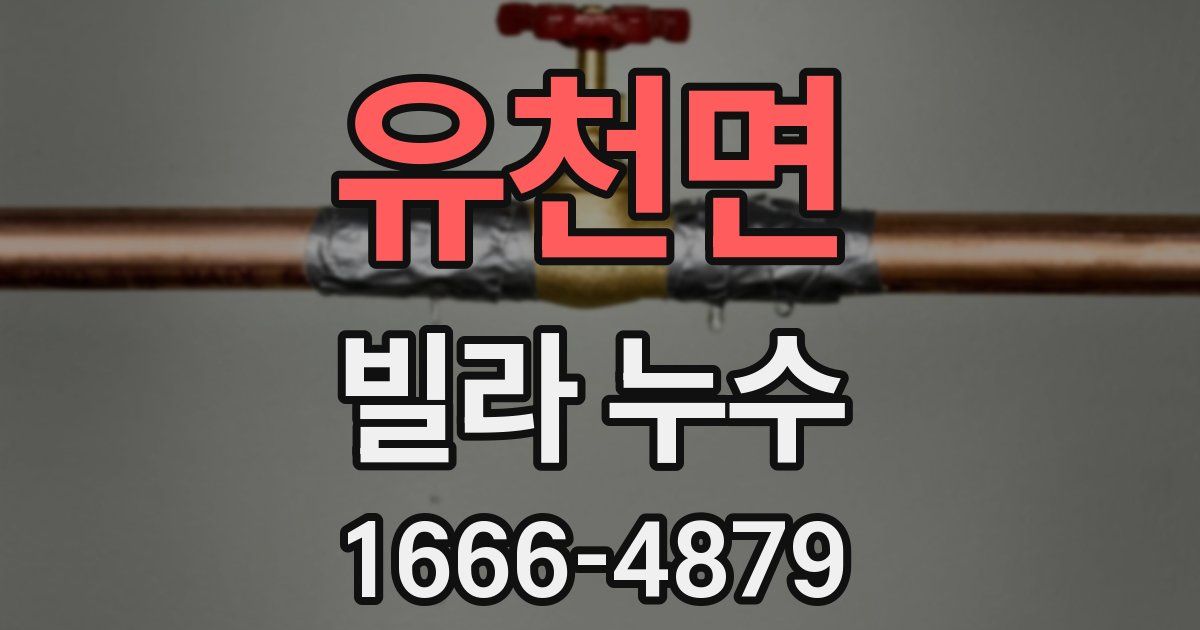 유천면 빌라 누수