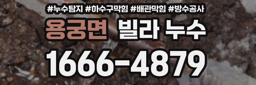 용궁면 빌라 누수