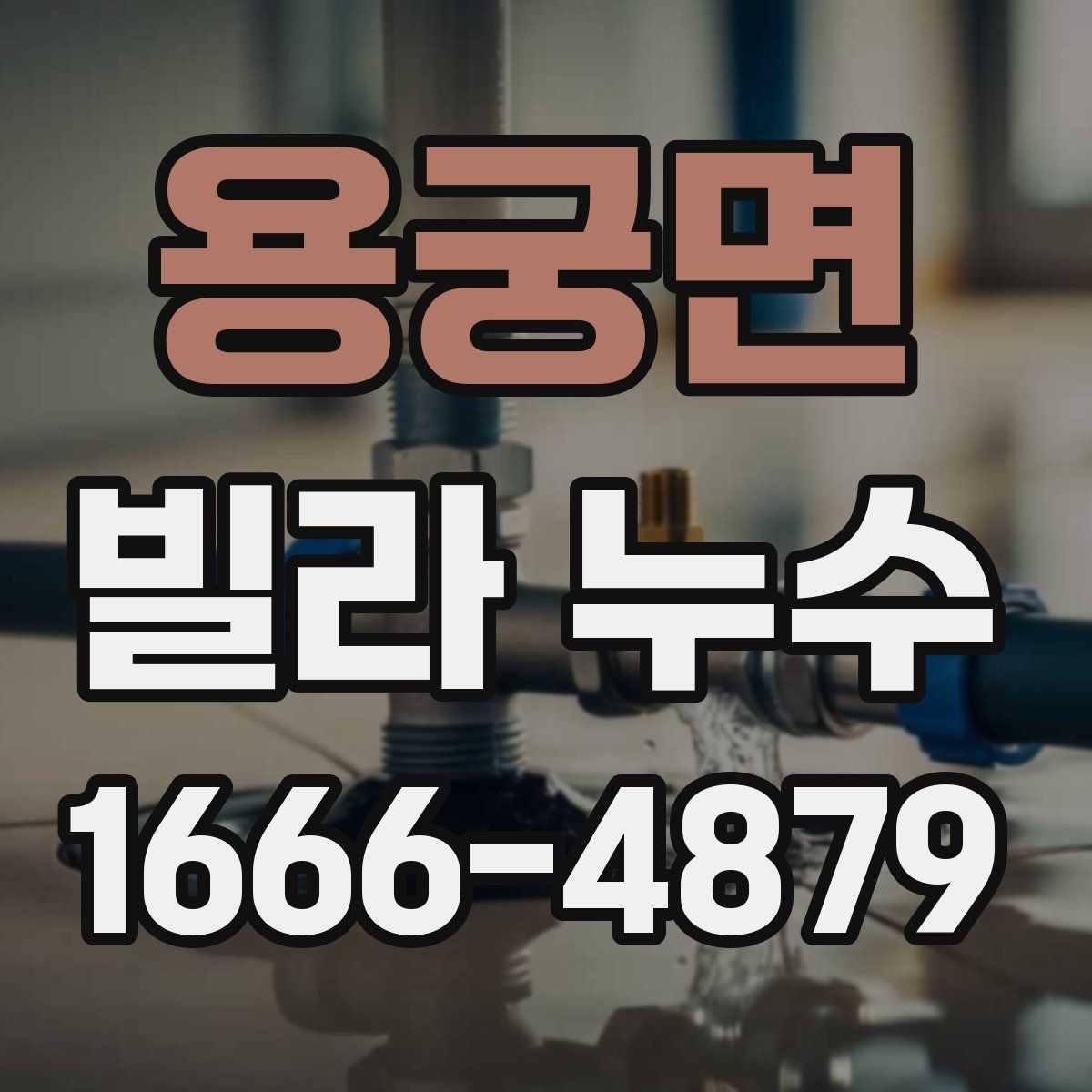 용궁면 빌라 누수