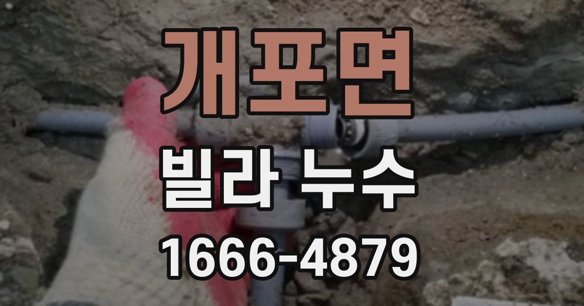 개포면 빌라 누수