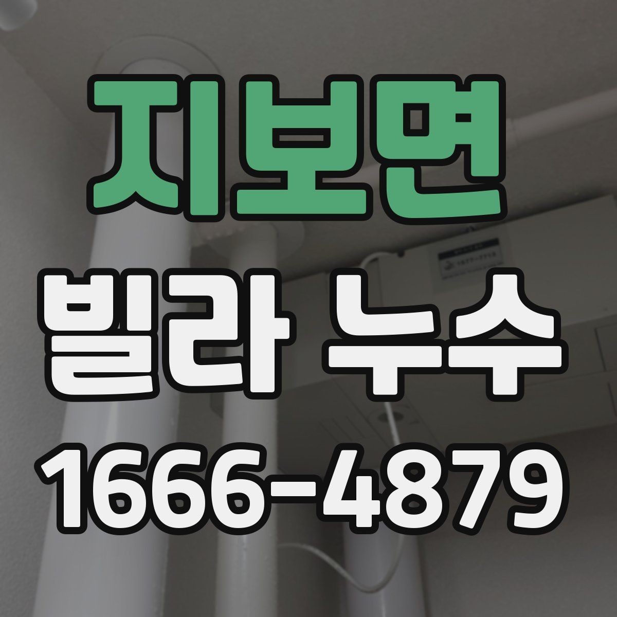 지보면 빌라 누수 점검 후 결과를 해석하는 법
