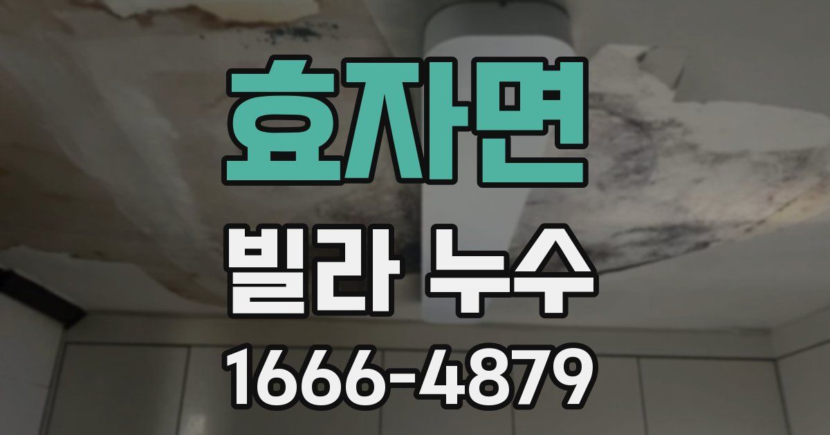 효자면 빌라 누수