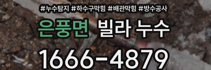 은풍면 빌라 누수