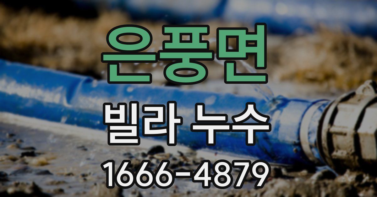 은풍면 빌라 누수