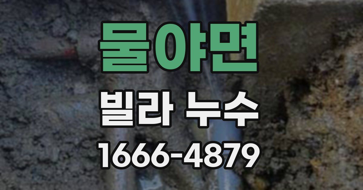 물야면 빌라 누수