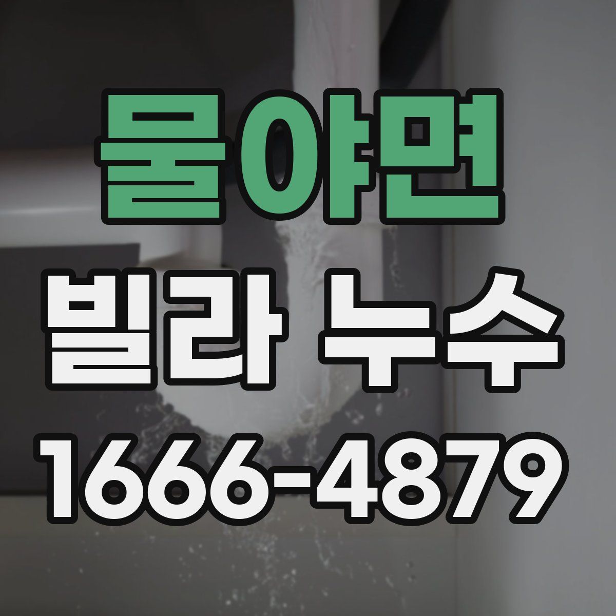 물야면 빌라 누수