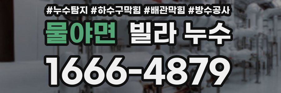 물야면 빌라 누수