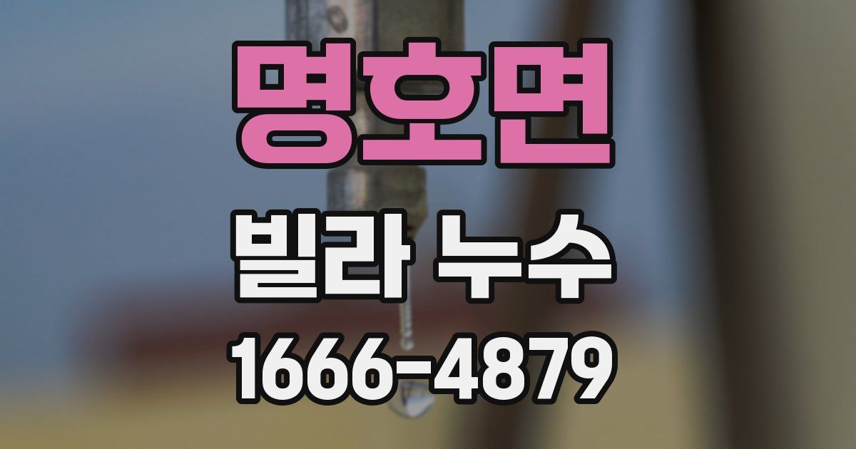명호면 빌라 누수